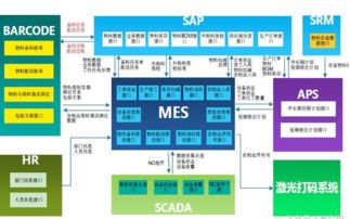 配置管理與數(shù)據(jù)采集軟件在辦公打卡系統(tǒng)中的應(yīng)用與實(shí)施